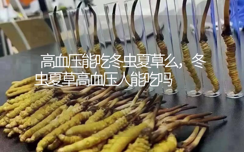 高血壓能吃冬蟲(chóng)夏草么，冬蟲(chóng)夏草高血壓人能吃嗎