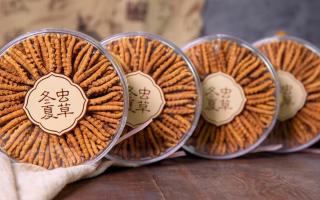 冬蟲(chóng)夏草價(jià)格暴跌真相：藏農(nóng)神草告訴你，正宗那曲蟲(chóng)草為何“價(jià)穩(wěn)質(zhì)優(yōu)”-西藏那曲蟲(chóng)草網(wǎng)