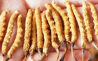 四歲寶寶能吃冬蟲(chóng)夏草嗎？藏農(nóng)神草：科學(xué)滋養(yǎng)，守護(hù)孩童成長(zhǎng)元?dú)?西藏那曲蟲(chóng)草網(wǎng)